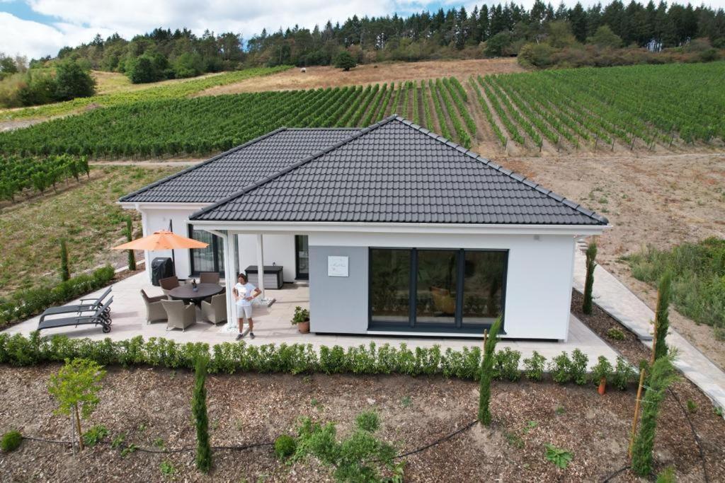 Neu - Premium-Ferienhaus Mosel-Sonne Трабен-Трарбах Екстериор снимка