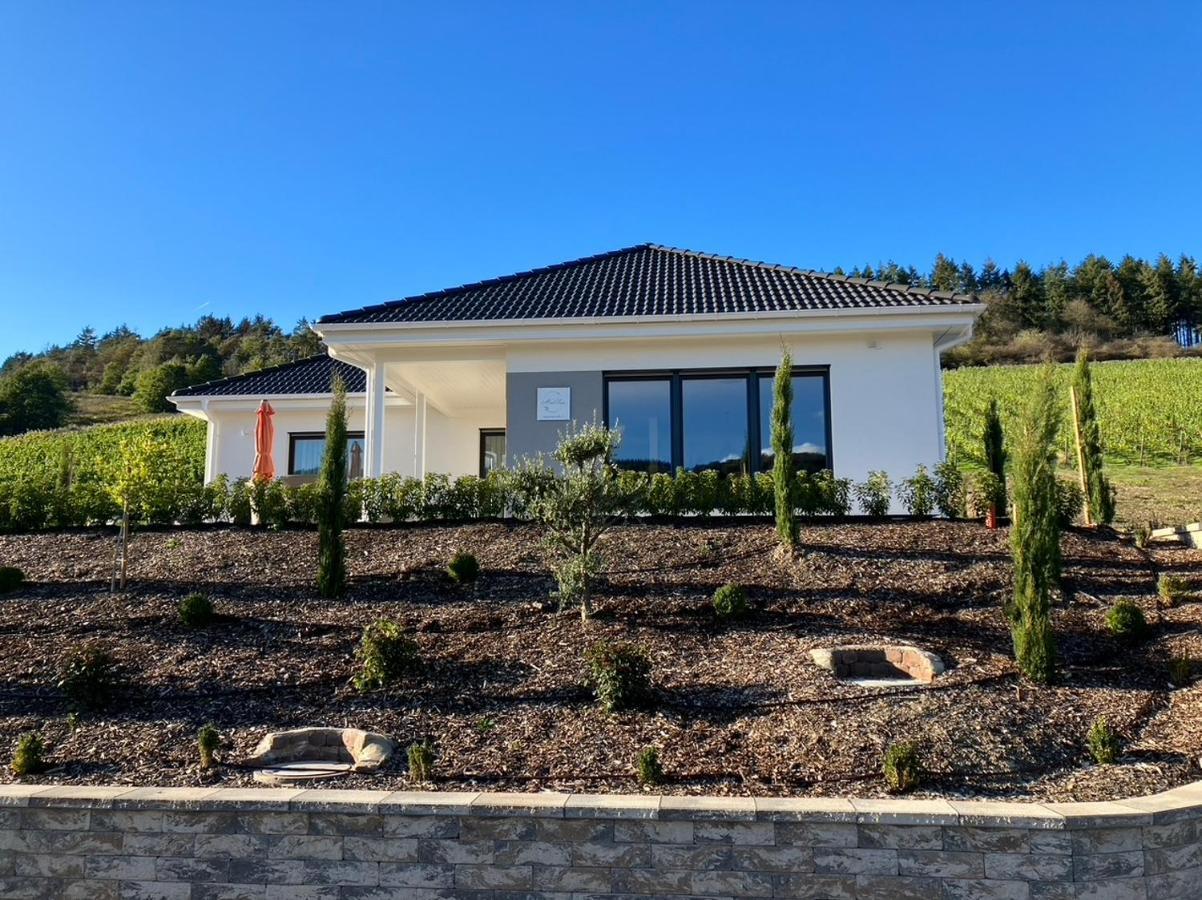 Neu - Premium-Ferienhaus Mosel-Sonne Трабен-Трарбах Екстериор снимка
